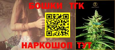 МДПВ Пенза