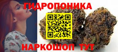МДПВ Пенза